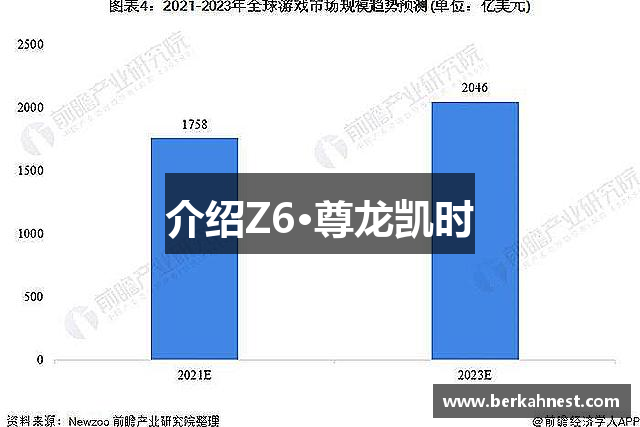 介绍Z6·尊龙凯时